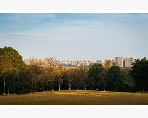 脾胃不好口气重，喝粥调理更宜